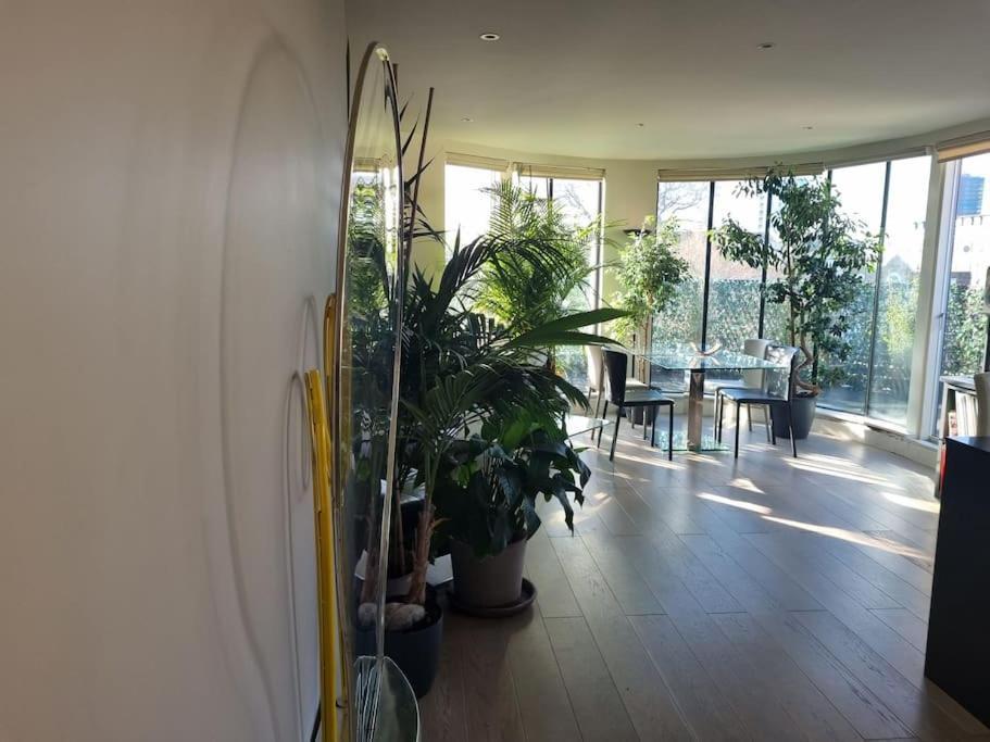 Panoramic Pondview Penthouse Apartment